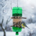 Domowy karmnik dla ptaków z recyklingu