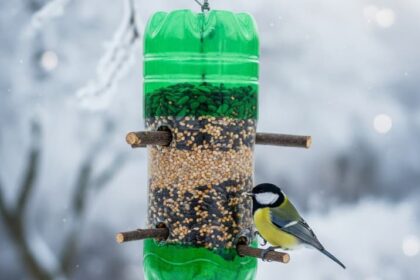 Domowy karmnik dla ptaków z recyklingu