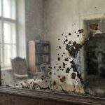 Dlaczego stare lustra ciemnieją Fizyka degradacji warstwy refleksyjnej