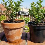 Termika donic ceramicznych i plastikowych